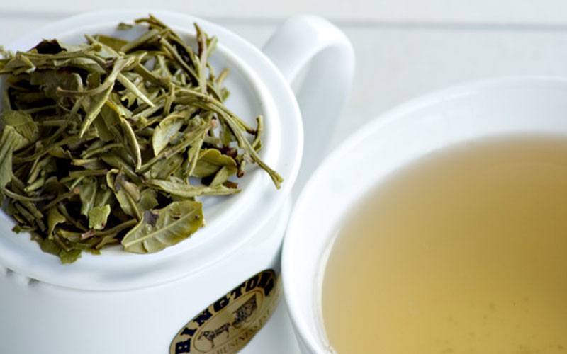 does white tea have caffeine does white tea have caffeine
