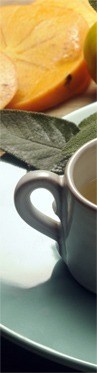 tea-cup-align-left