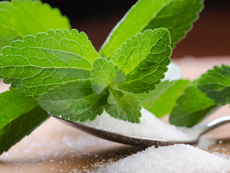 A leaf from the stevia plant sitting next to a pile of the natural sweetener.