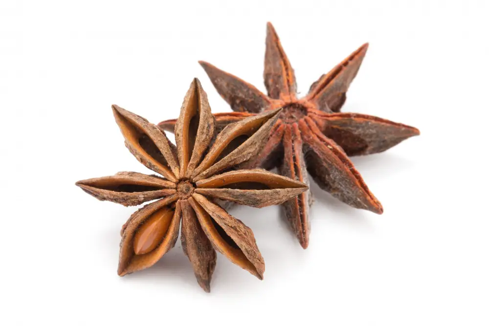 star anise up close