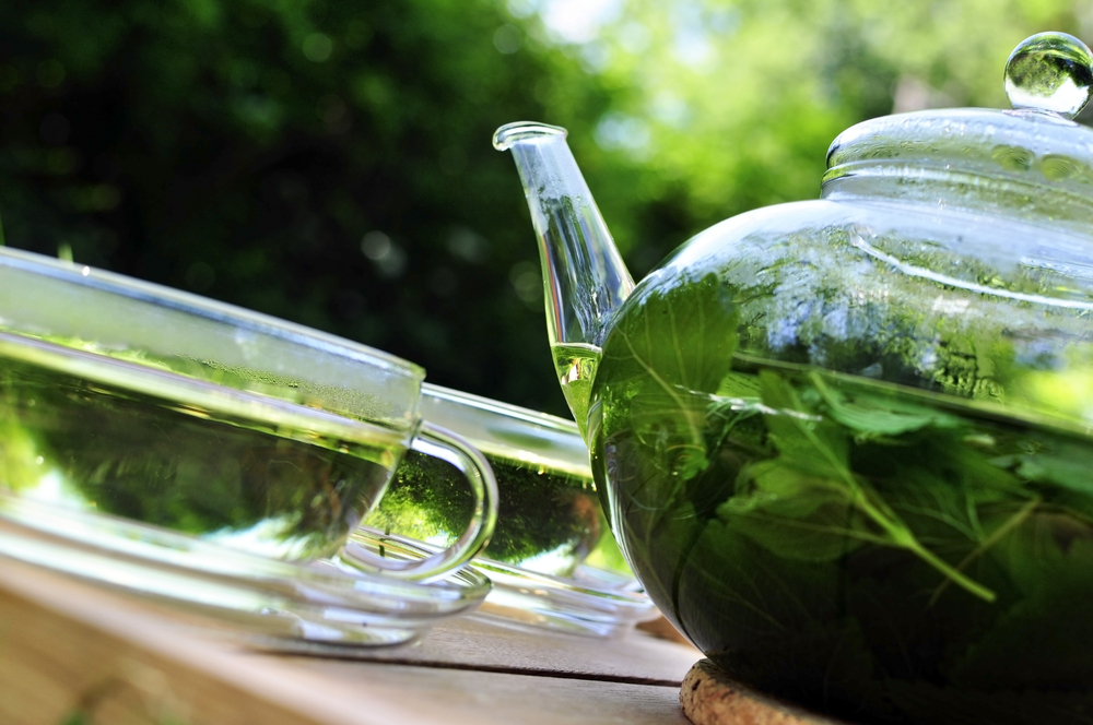 lemon balm tea for anxiety