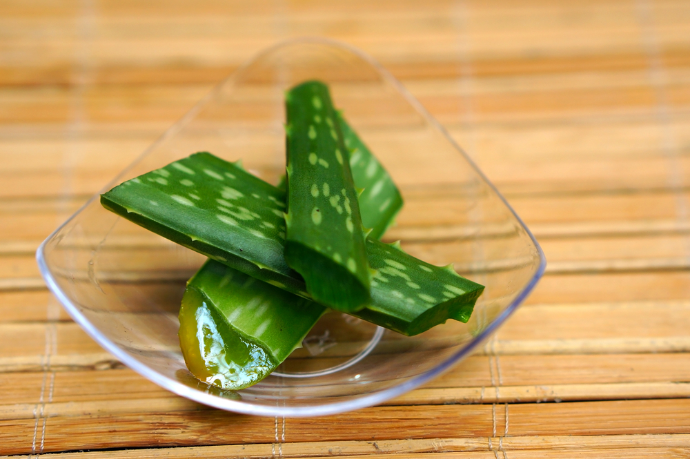 aloe vera cut fresh