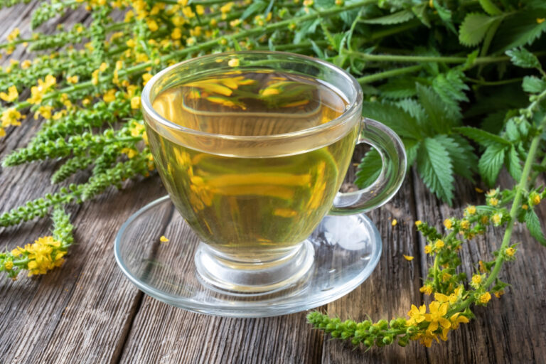 agrimony tea in a glass tea cup