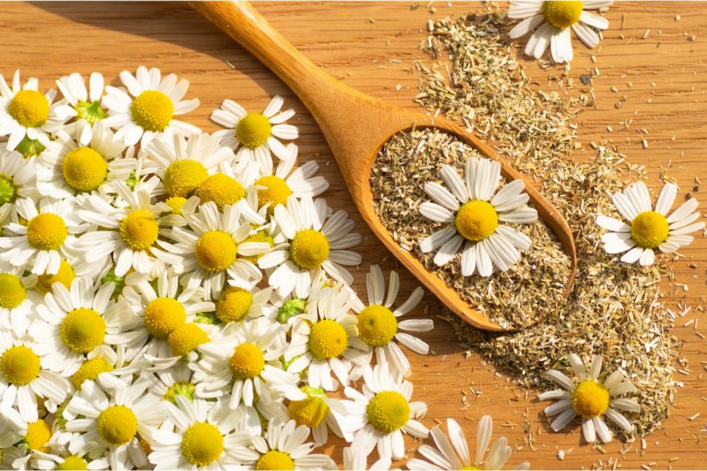 chamomile tea ingredients