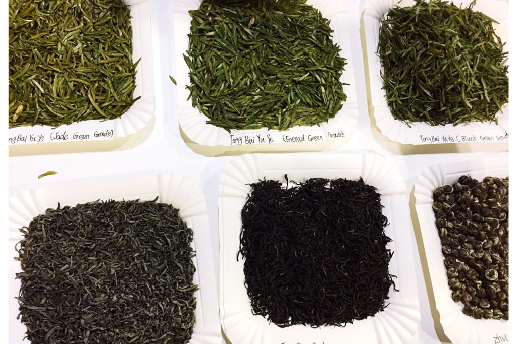 tea leaves in plates