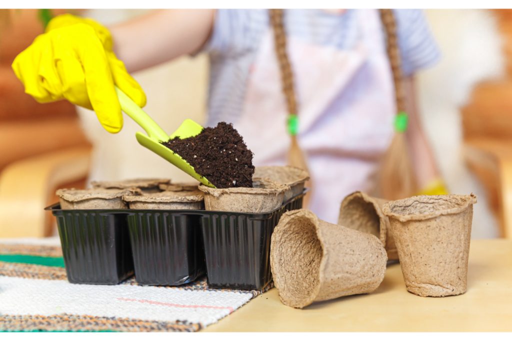 planting tea grounds in soil
