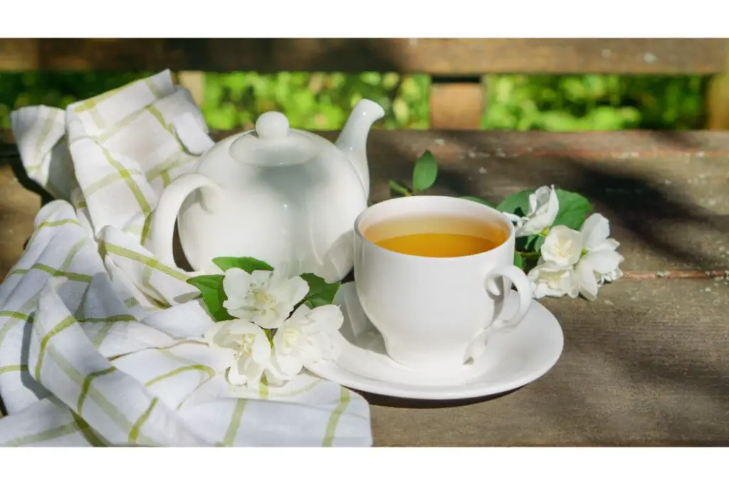 hot cup of jasmine green tea