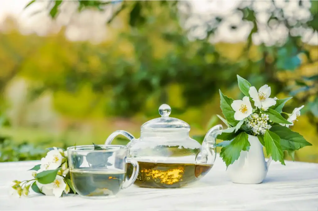 a pot of hot jasmine tea