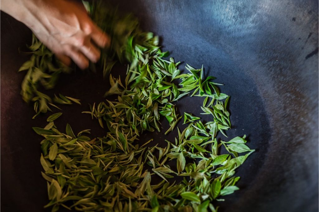 fresh tea leaves