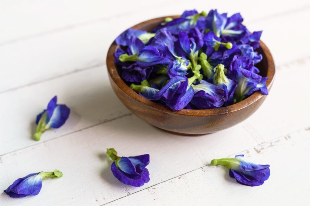 purple butterfly pea flowers in a bowl