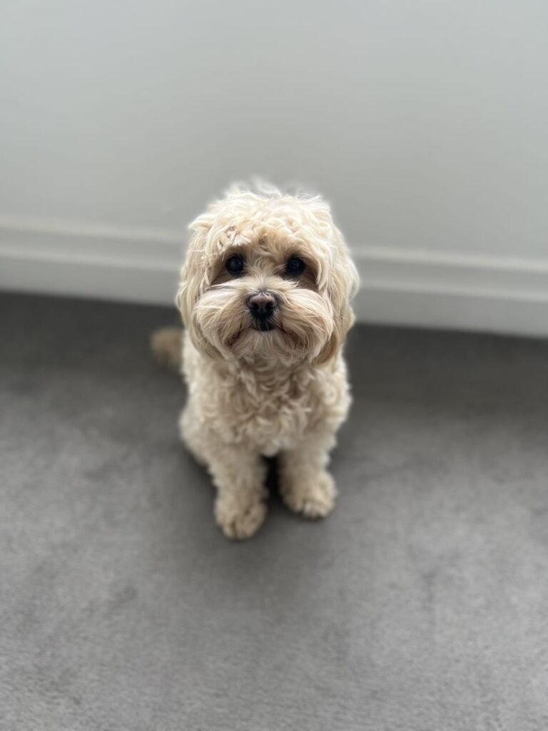 ted waiting for tea